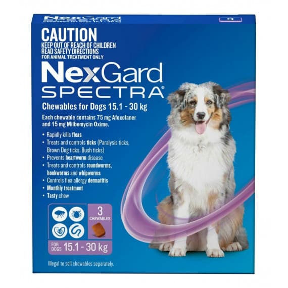 Buy Nexgard Spectra Chewables For Large Dogs 15.1 - 30kg - Purple 3 Pack Online | Pharmacy Direct