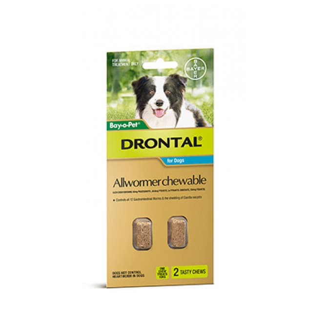 Drontal allwormer 2024 for dogs