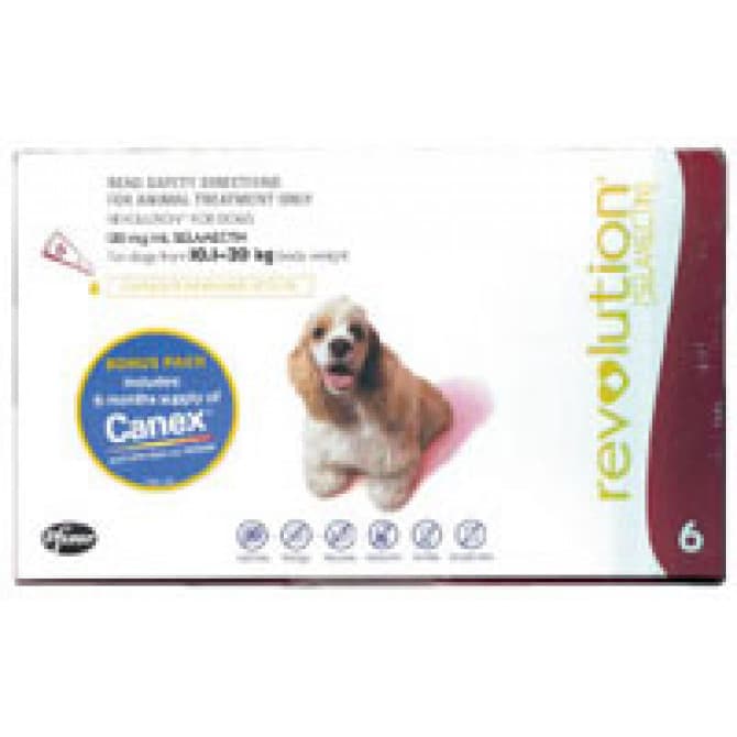 Buy Revolution Large Dog 10kg To 20kg Pack 6 Online | Pharmacy Direct