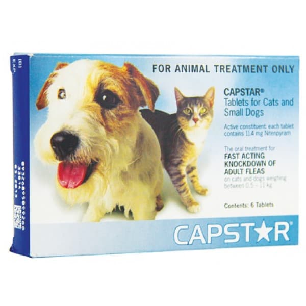 capstar flea for dogs