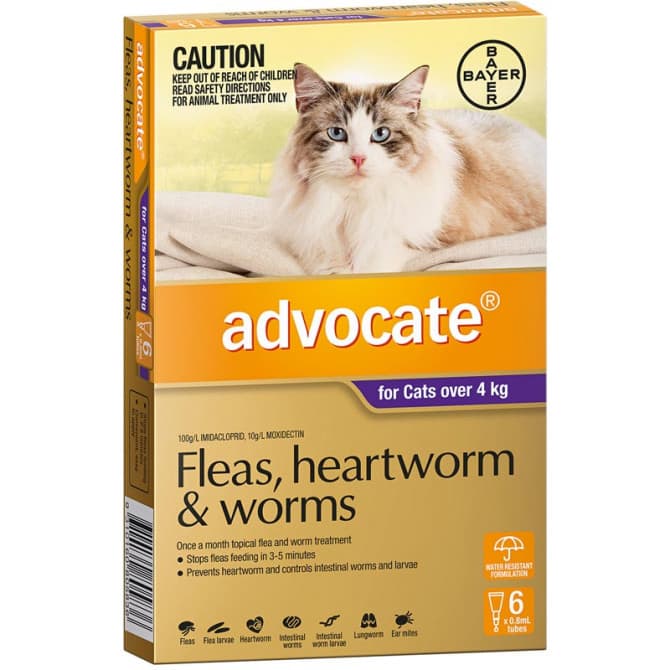 Buy Advocate For Large Cats Over 4kg 6 Pack Online | Pharmacy Direct